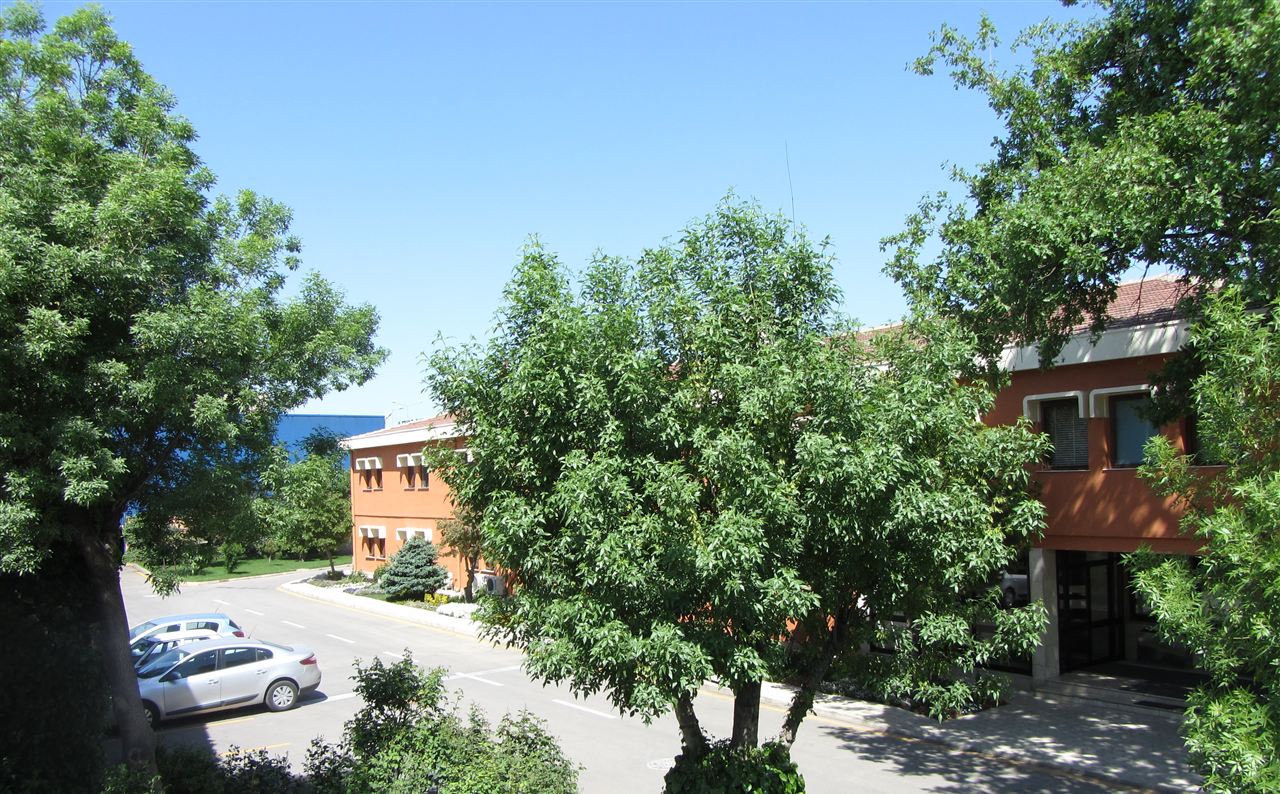 Ağaçların üzerinden binalara bakış